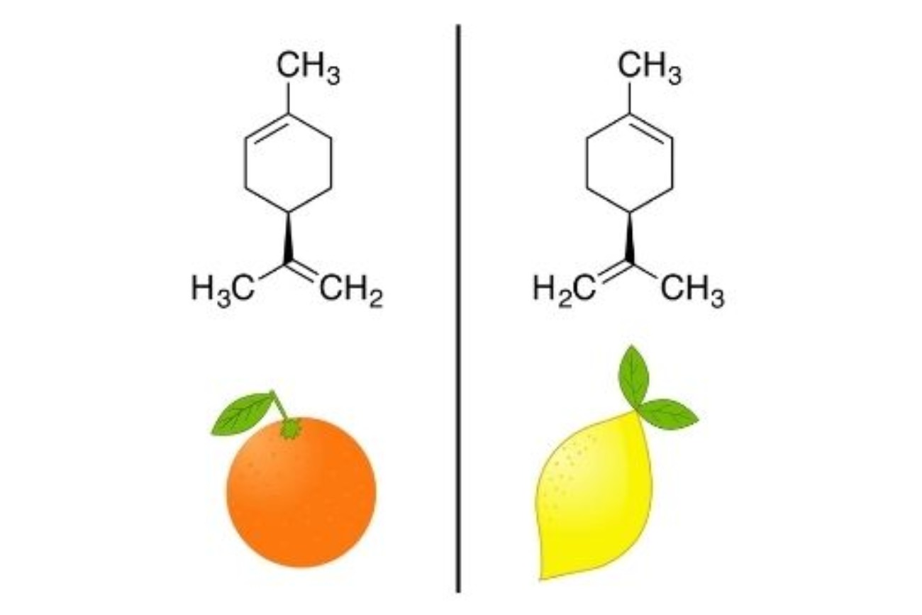 Le (R) limonène ou levogyre de l’orange et à le (S) limonène ou dextrogyre du citron